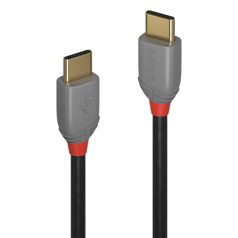 Lindy 1m USB 2.0  C to C